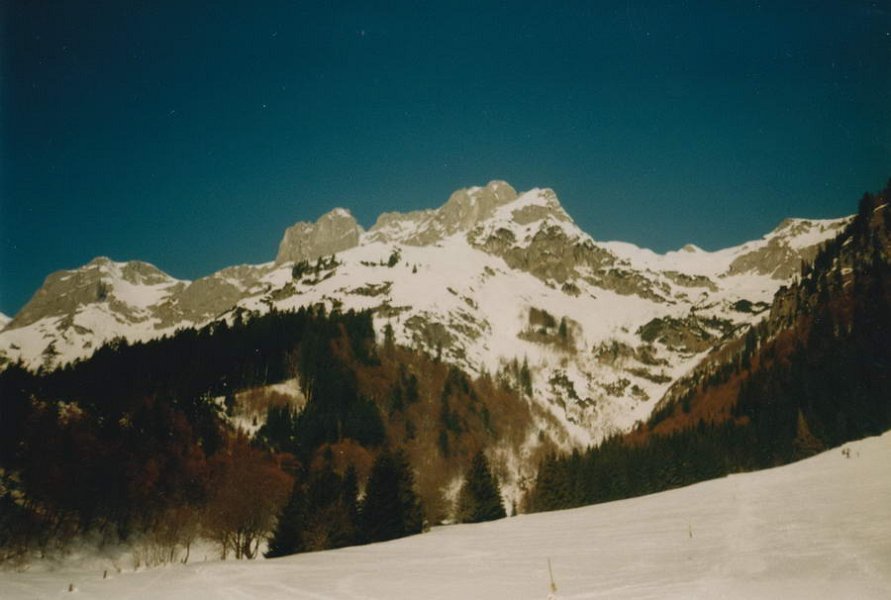 Bilder Ellrott `92 013